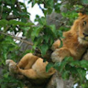 Meet your Posher, Hector